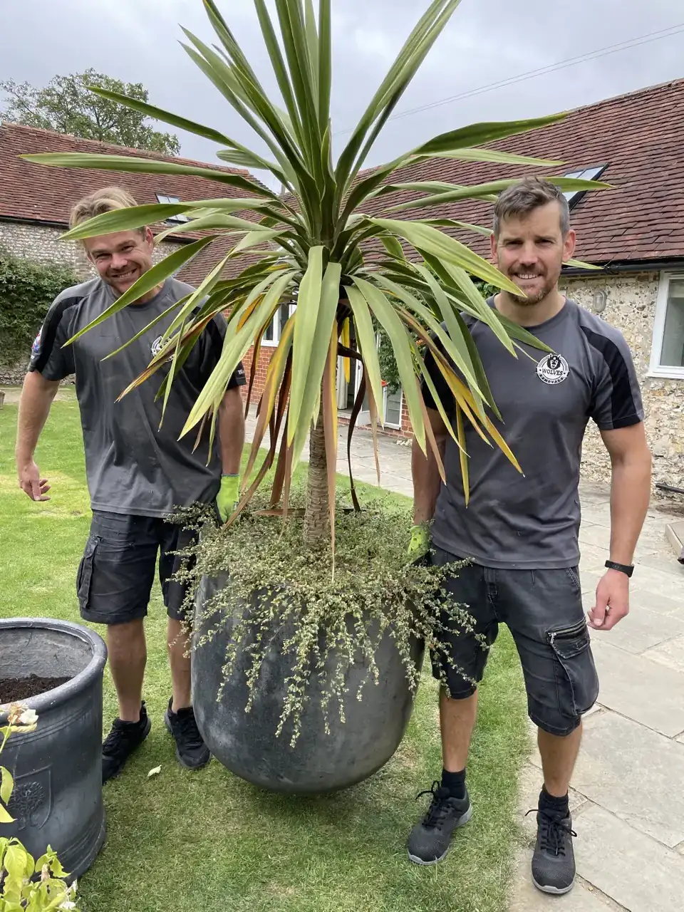 Carrying potted palm plant garden