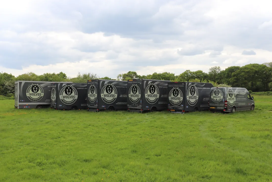Movers transporting household items safely in Sussex