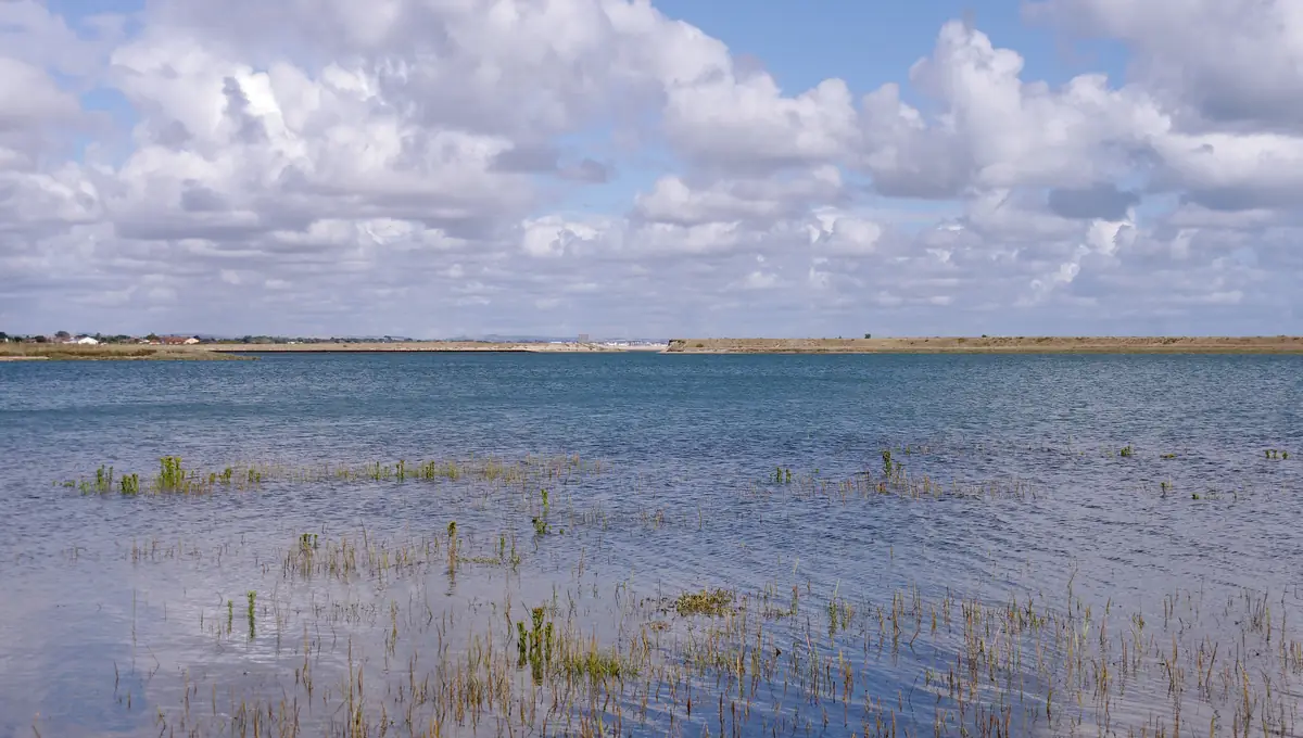 Open water and marsh grasses under a wide sky at Pagham Harbour