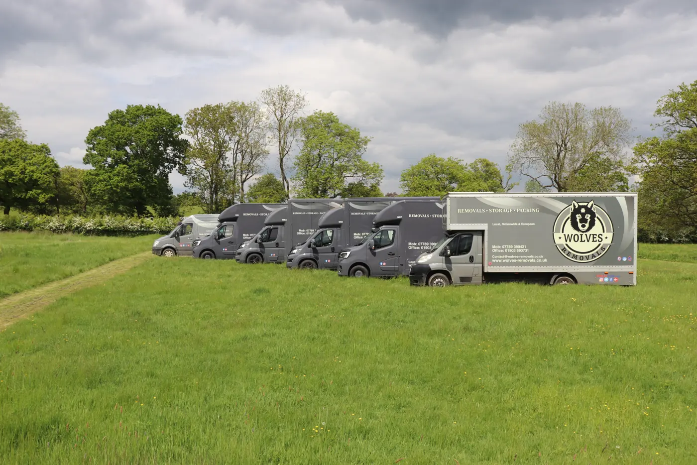 Wolves Removals van fleet parked in a field
