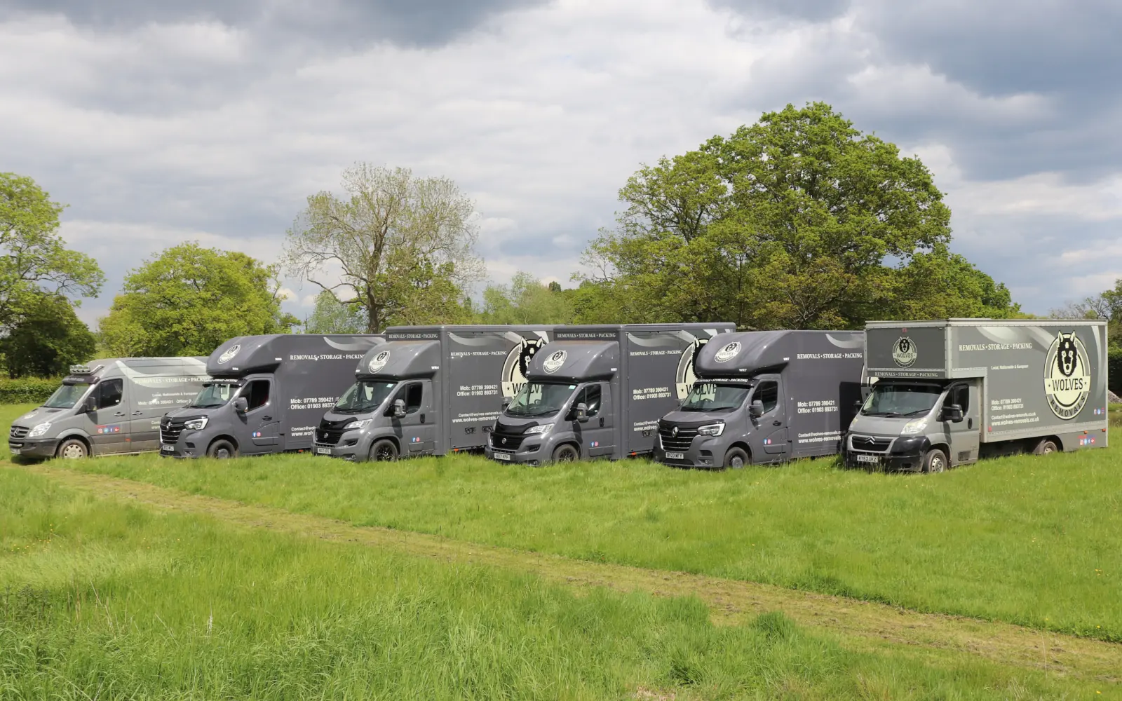 Wolves Removals services across Sussex